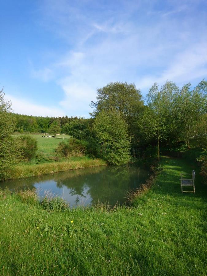 Ferienwohnung Hohe Acht Kaltenborn  المظهر الخارجي الصورة